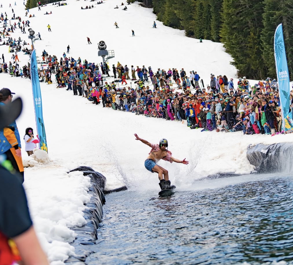 pond skim